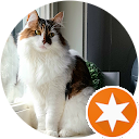 Mickey Bussen profielfoto